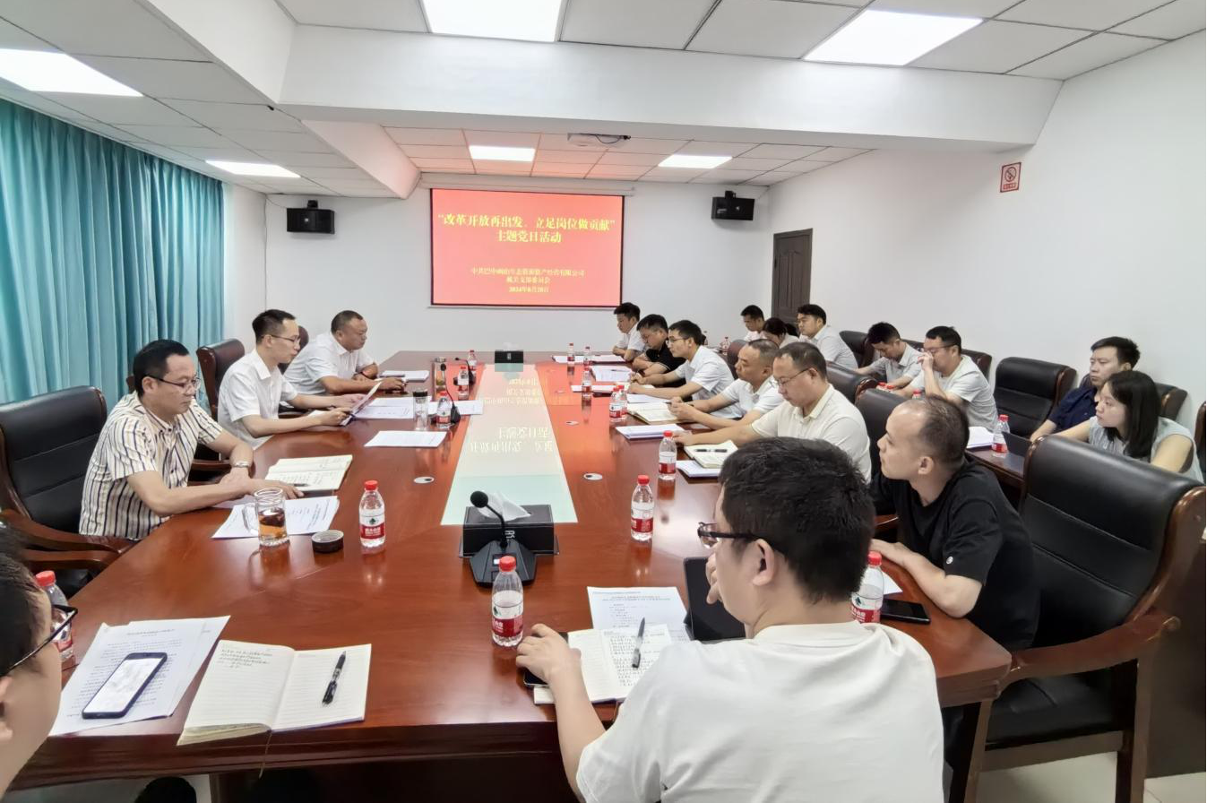 巴中兩山公司開展“改革開放再出發(fā)、立足崗位做貢獻(xiàn)”主題黨日活動